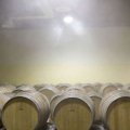 impianti di umidificazione acetaie